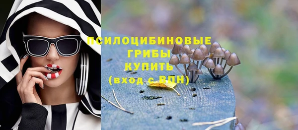 спайс Алзамай