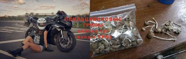 спайс Алзамай